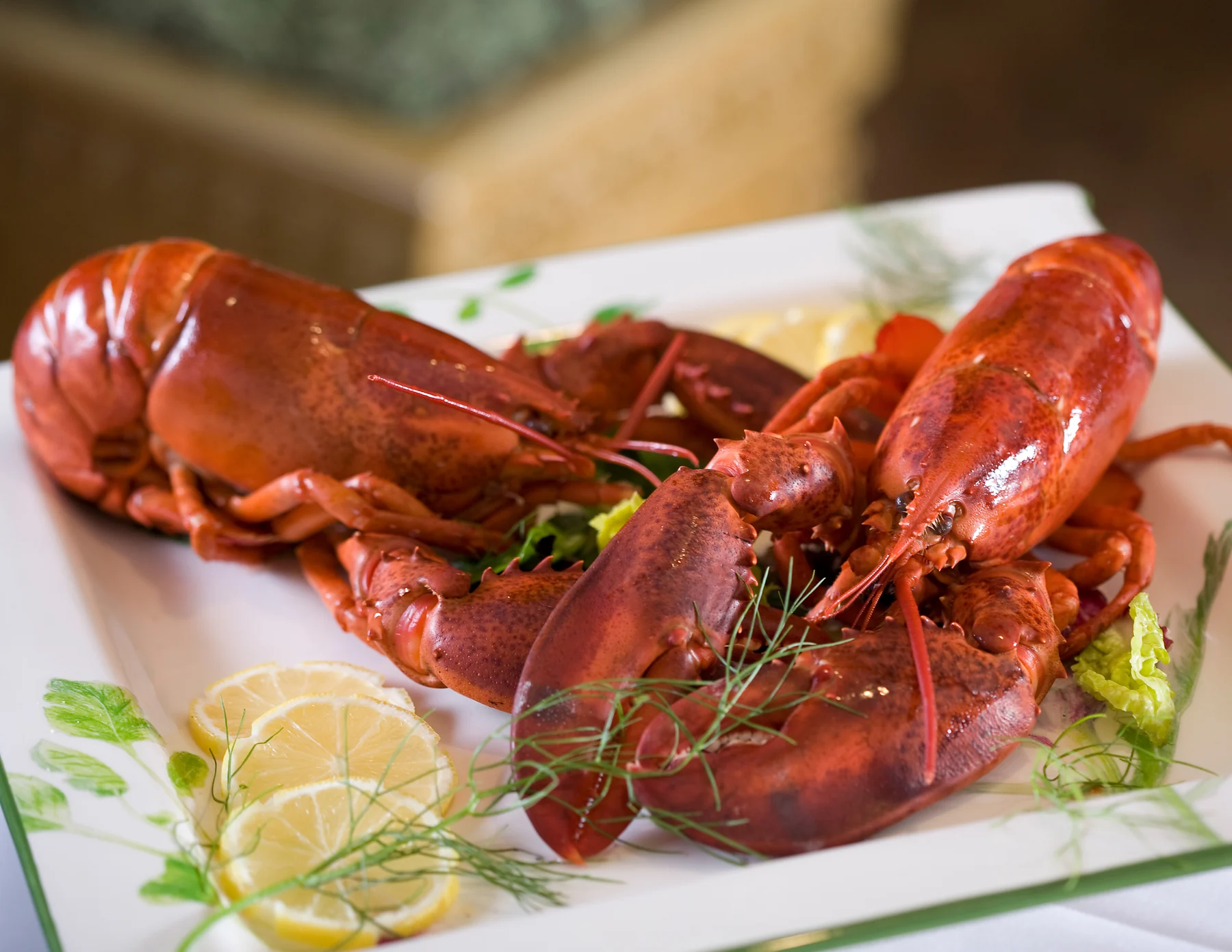 MenuGo food photography — lobster
