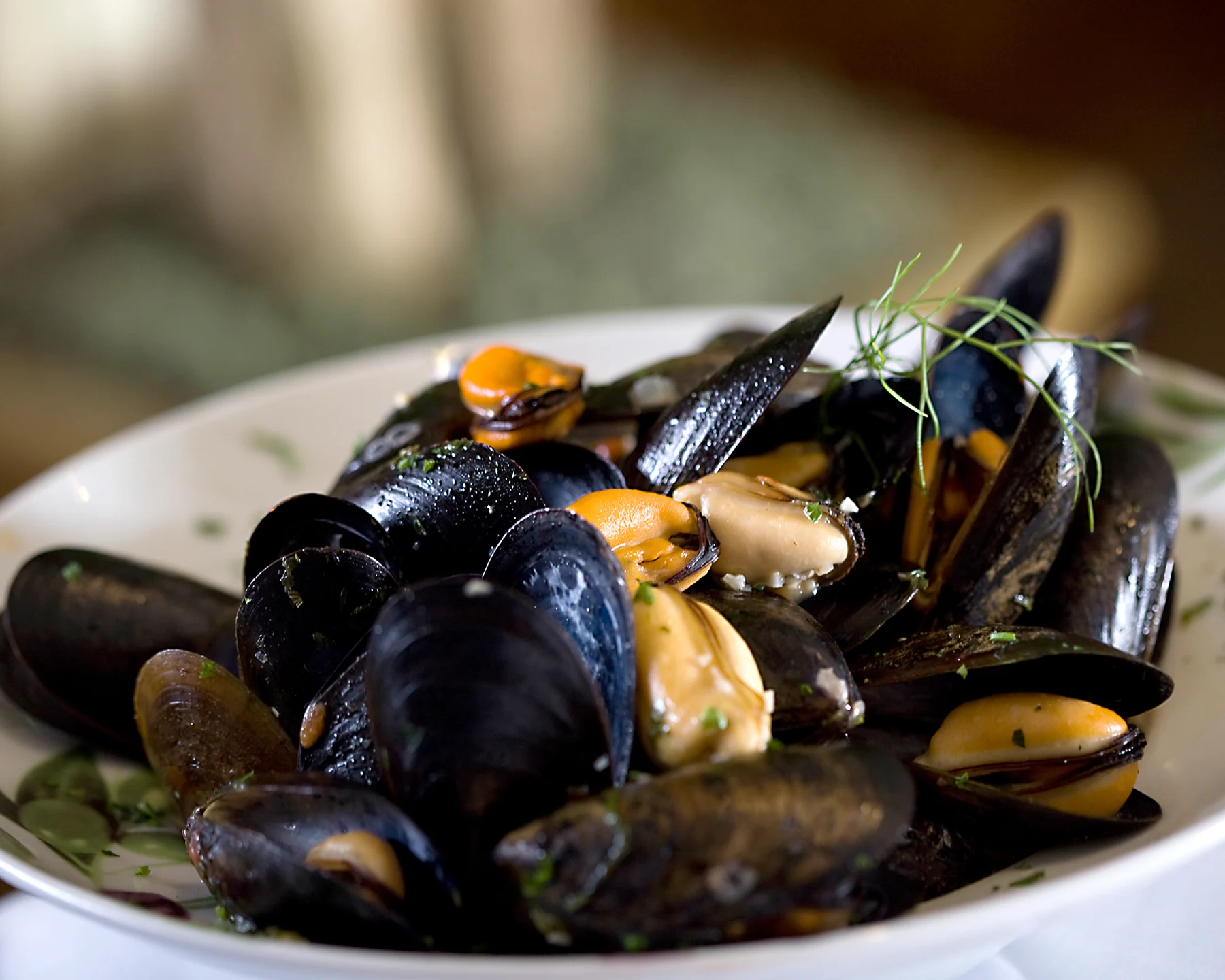 MenuGo food photography — mussels